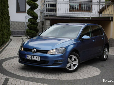 Volkswagen Golf Asystent Parkowania - Climatronic - Alu GWARANCJA - Zakup …