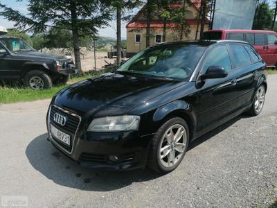 Audi A3 II (8P) 1.9 TDI DPF Ambition