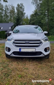 2017 Ford Escape 2.0 Ecoboost Benzyna + LPG