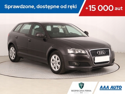 Audi A3 8P Hatchback 3d 2.0 TDI CR 140KM 2010