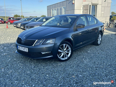 Škoda Octavia 1.6TDi 115KM 2019/2020 Ambition, tylko 113 tys. km, Salon PL…