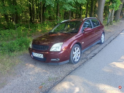 Opel Signum 1.9 CDTI, lodówka Polecam