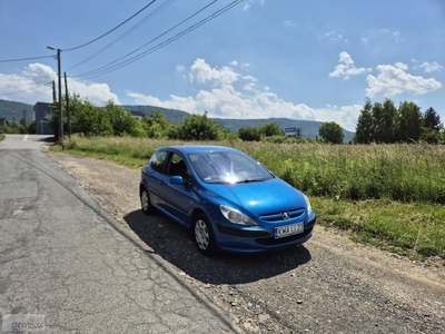 Peugeot 307 I *1,6 benz 109 KM*Klimatyzacja * Nie zgnity *