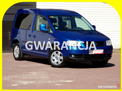 Volkswagen Caddy Klimatronic /Gwarancja /I właść /MPI /2009r III (2004-)