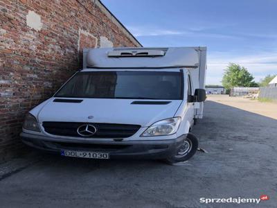 Mercedes Sprinter chłodnia