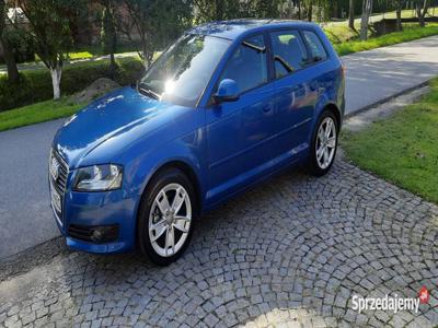 A3 Sportbeck 1.6MPI, 102PS, 194tys. km.