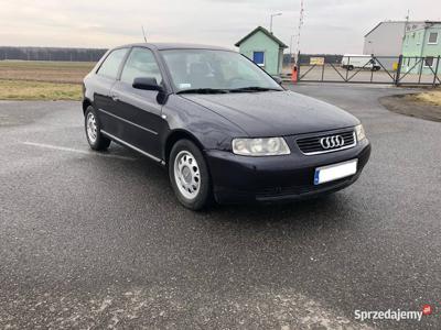 Audi a3 oryginalny lakier