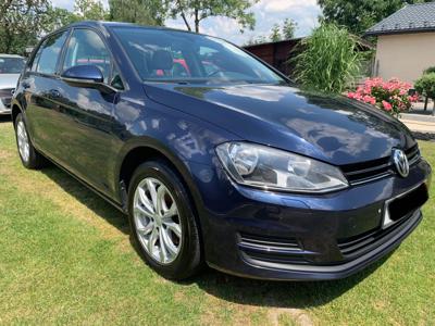 Używane Volkswagen Golf - 35 300 PLN, 317 645 km, 2013