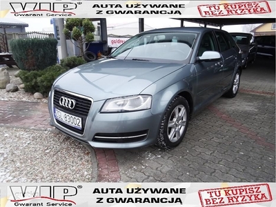 Audi A3 II (8P) TDI