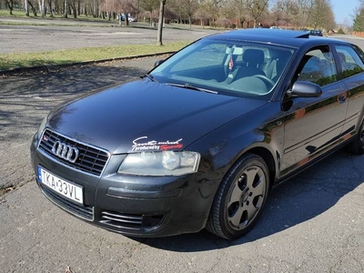 Audi A3 2.0 TDI chip 180km + popcorn 2003r.