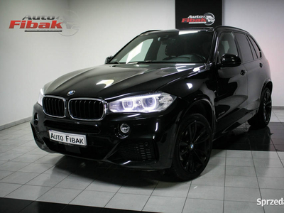 BMW X5 25d*xDrive*Salon Polska*Mpakiet*Vat23% F15 (2013-)