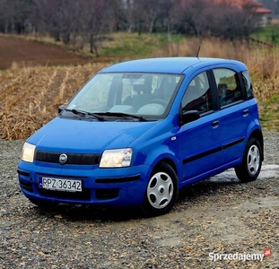 Fiat Panda 1.1 LPG 2004 r