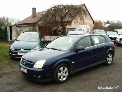 Opel Signum 1,9 CDTI 2004 r