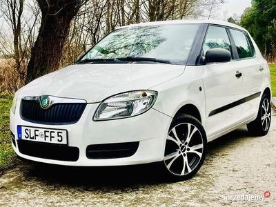 Skoda Fabia w super stanie klima alufelgi bezwypadkowy