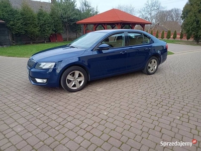 Skoda Octavia 2.0 TDI Salon PL