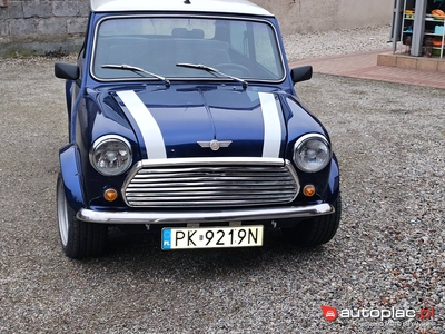 Mini 1000