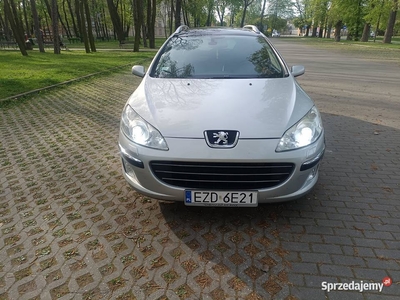 Peugeot 407ws