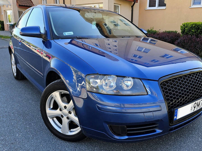 Audi A3 8P 2004r 2.0 tdi -duzy grill,duze radio z navi,2 kpl kol