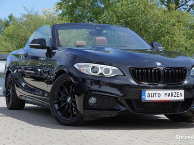 BMW 220d 2.0 Diesel 190 KM Cabrio Navi Kamera Skóra Mały przebieg GWARANCJA