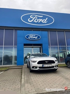 Ford Mustang 2.3 EcoBoost, Salon Polska!! 317KM 2015r