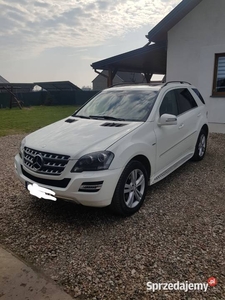 Mercedes ML 350 w164 lift