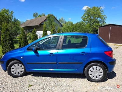 Peugeot 307 1.6 Benzyna Klimatyzacja 5 Drzwi