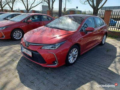 Toyota Corolla E21 (2019-)