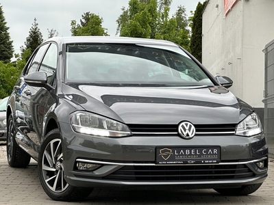 Volkswagen Golf VII Hatchback 3d Facelifting 1.0 TSI 110KM 2018