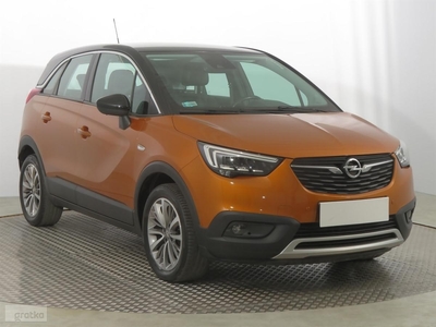 Opel Inny Opel , Salon Polska, Serwis ASO, VAT 23%, Skóra, Klimatronic,