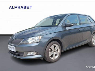 Škoda Fabia Skoda Fabia 1.4 TDI Ambition III (2014-)