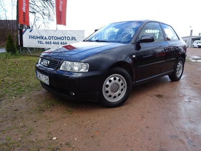 Audi A3 8L Hatchback 1.6 i 102KM 2002