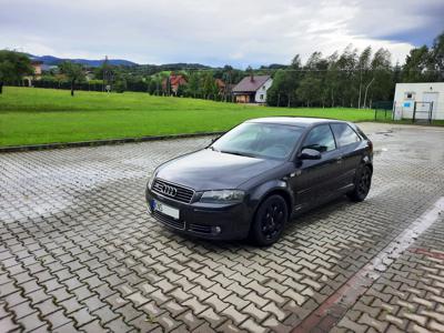 Używane Audi A3 - 16 900 PLN, 204 500 km, 2004