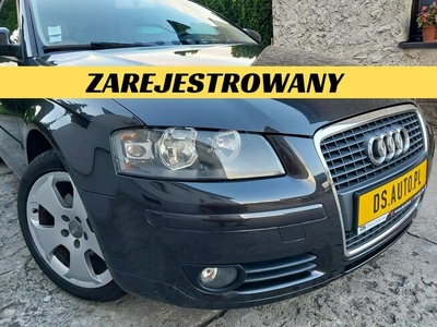 Audi A3 8P • TDI • 5 drzwi • 17'' ALU • 2006 • bez DPF • sprowadzony