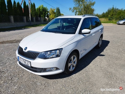 Skoda Fabia III 1.2 TSI Joy - Idealne auto rodzinne!