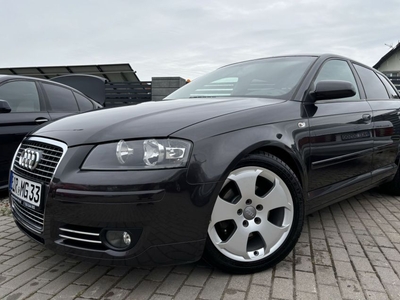 Audi A3 8p 1.6 Sportback 5drzwi alu skóry doinwestowana z Niemiec