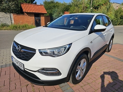 Opel Grandland X 1,2 130 KM Serwisowany Bezwypadkowy Super Stan