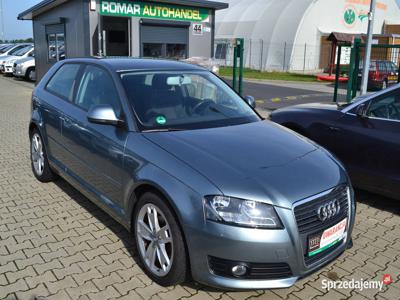 Audi A3 1.6 MPI, z Niemiec, (56)