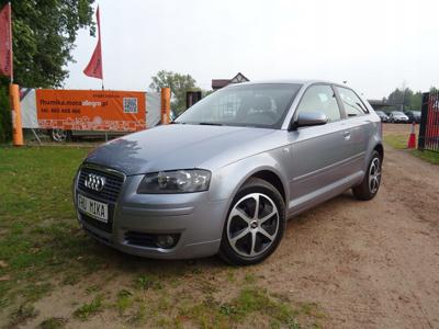 Audi A3 8P Hatchback 3d 1.9 TDI 105KM 2005