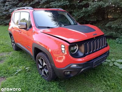 Jeep Renegade 2.0 MultiJet Trailhawk 4WD S&S