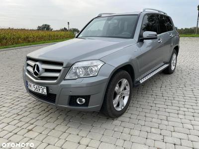 Mercedes-Benz GLK 200 CDI BlueEff