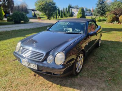 Mercedes CLK cabrio