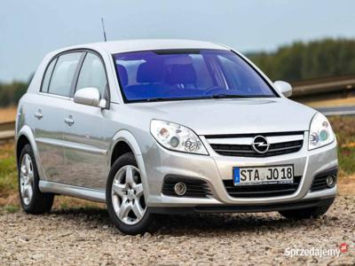 Opel Signum | benzyna