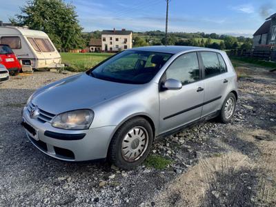 Volkswagen Golf 5 2003 Benzyna 1.6