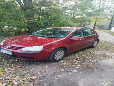 Volkswagen Golf V Hatchback 1.6 i 102KM 2004