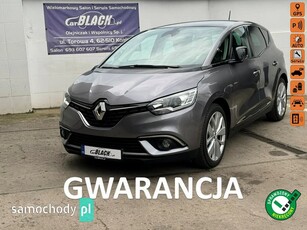 Renault Scenic IV