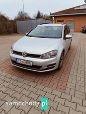 Volkswagen Golf VII