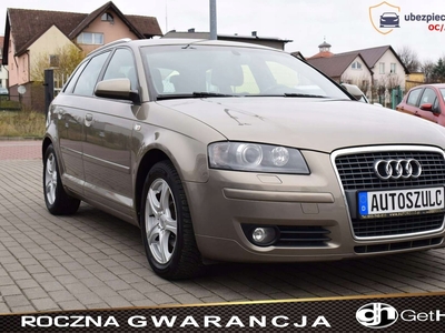 Audi A3 8P Hatchback 3d 1.4 TFSI 125KM 2008