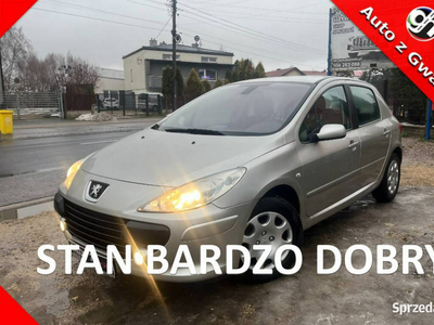 Peugeot 307 2.0LIFT Klima El szyby KS SErw Bez Rdzy Stan BD…