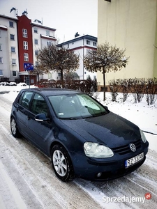 Volkswagen Golf V/1.4 benzyna/5 drzwi/Klima/Polski Salon