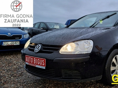 Volkswagen Golf V Hatchback 1.4 80KM 2008